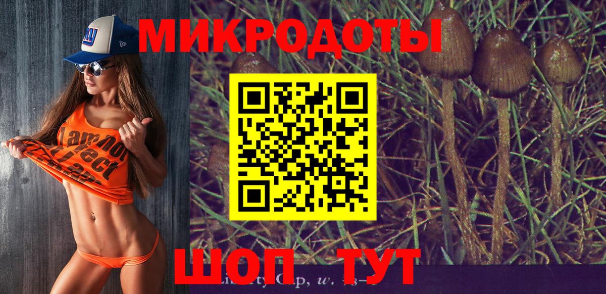 Галлюциногенные грибы Cubensis Мичуринск